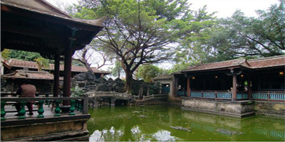 Thumbnail Image 1